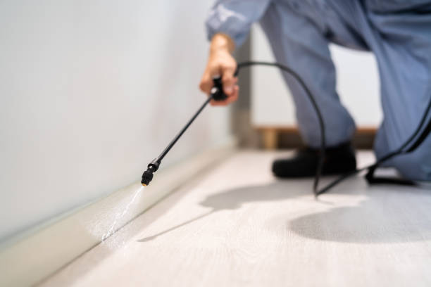 Licensed Pest Control service in Stinnett, TX - Show Me Pest Control