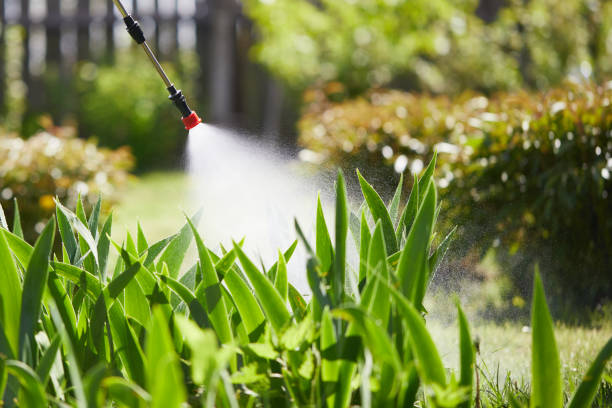 Tamper-Resistant Bait Stations for Rodents in Stinnett