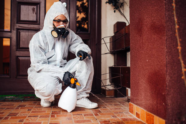 Attic and Crawl Space Rodent Treatment in Stinnett